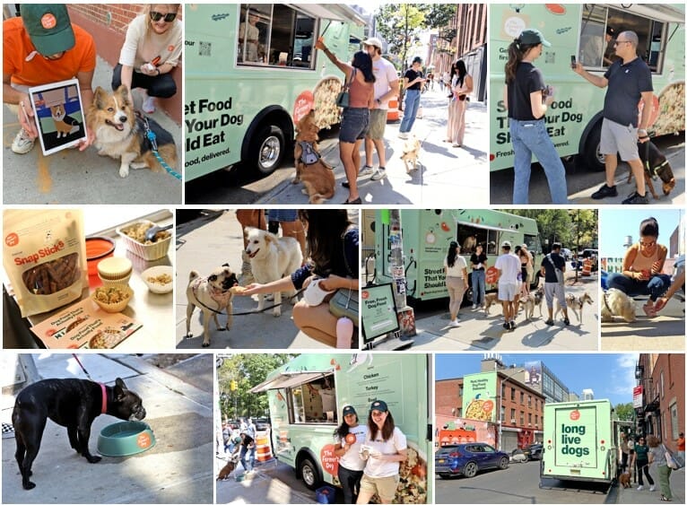 Famers Dog_Collage